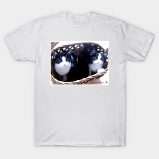 3 cats in the basket! T-Shirt